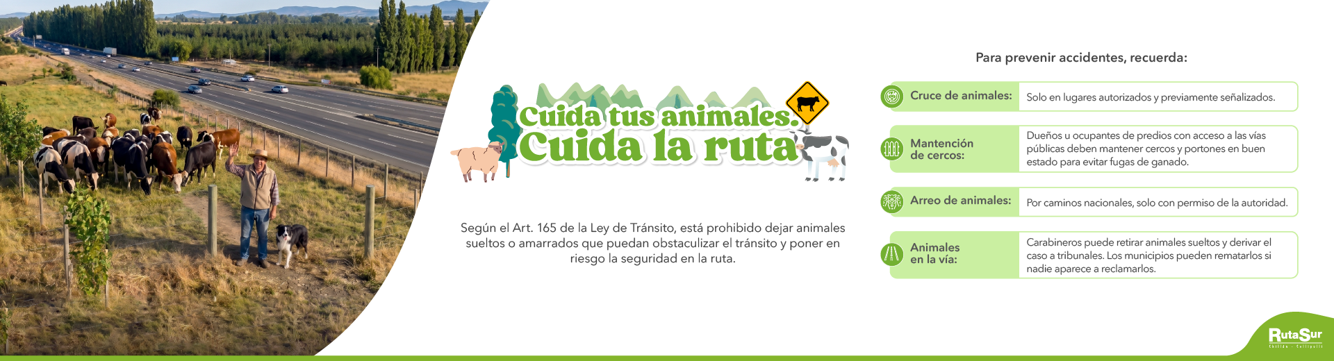 Ruta Sur